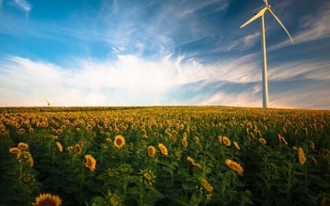 Tangibl group utility rates consulting