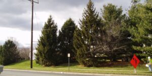 electric distribution facilities relocation design